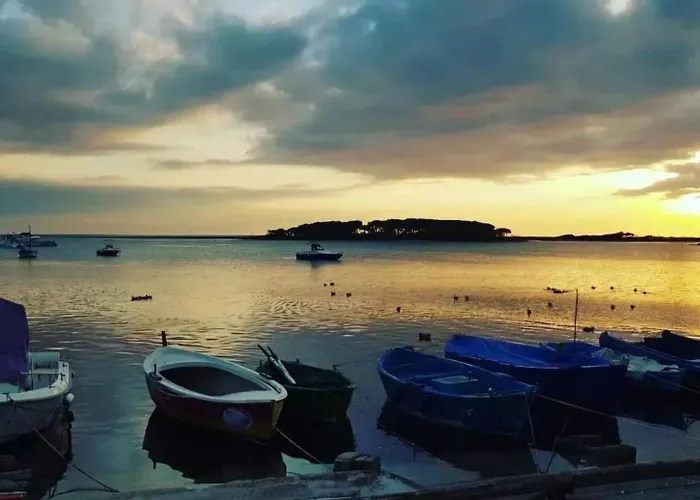 Fior Di Mare Porto Cesareo
